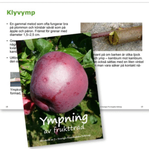 Ympning av Fruktträd